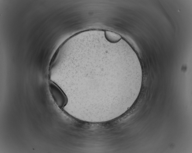 X0000089450903200707131924