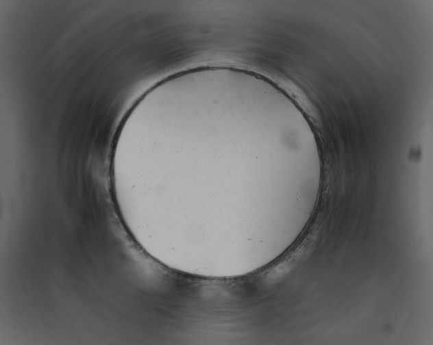 X0000089450904200707131924