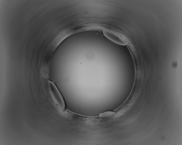 X0000089450905200707131924