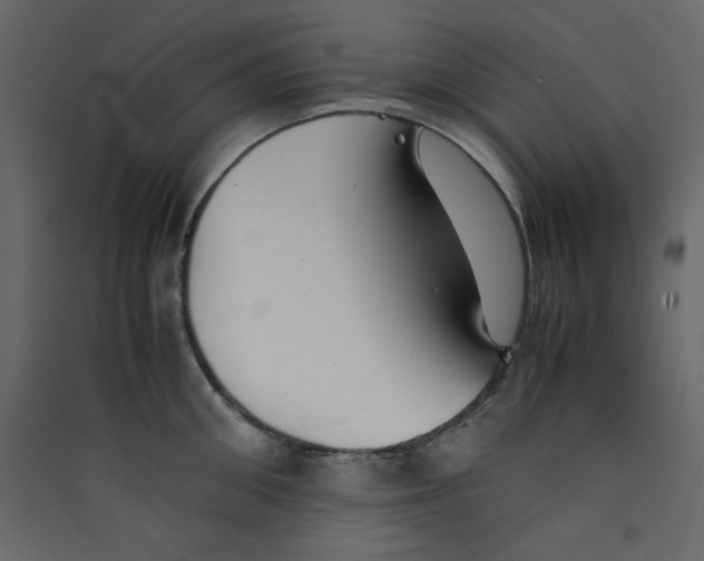 X0000089450906200707131924