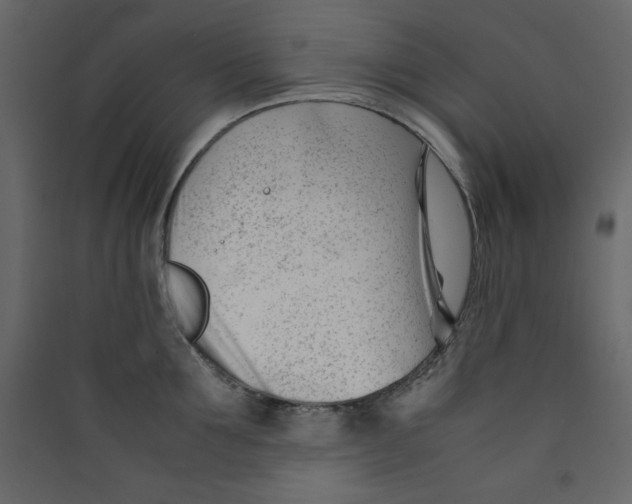 X0000089450907200707131924