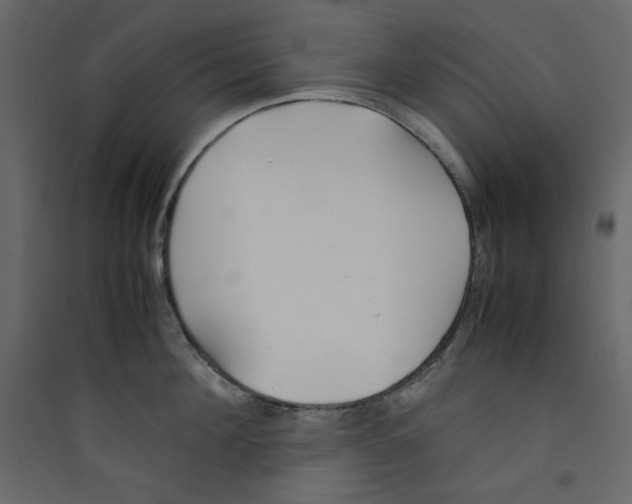 X0000089450908200707131924