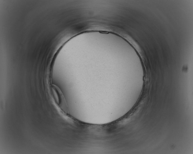 X0000089450909200707131924