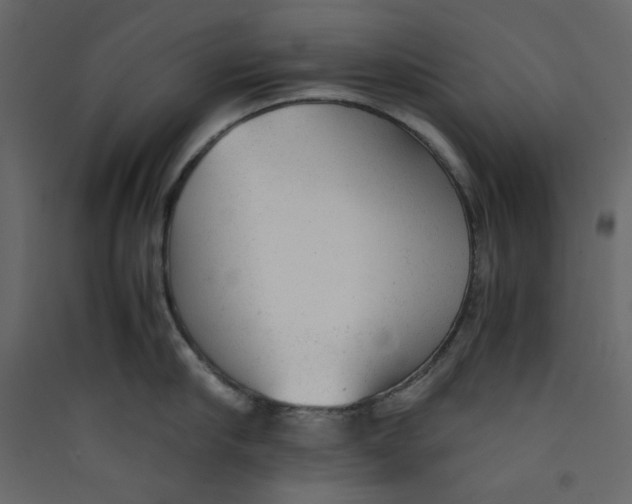 X0000089450910200707131924