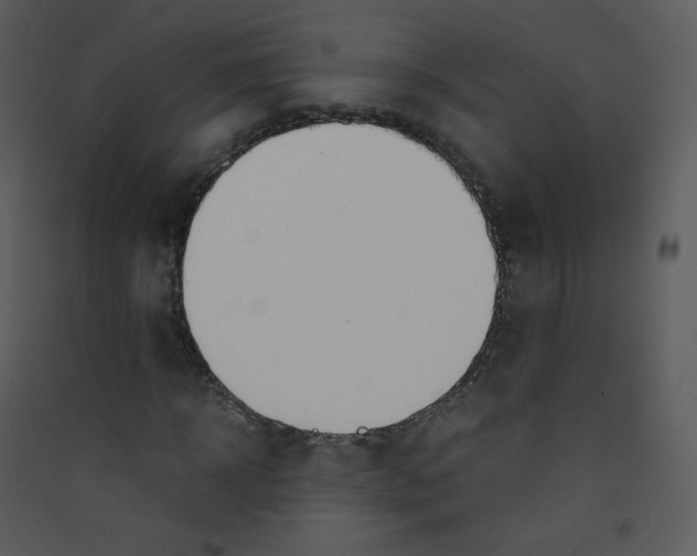 X0000089450918200707131923