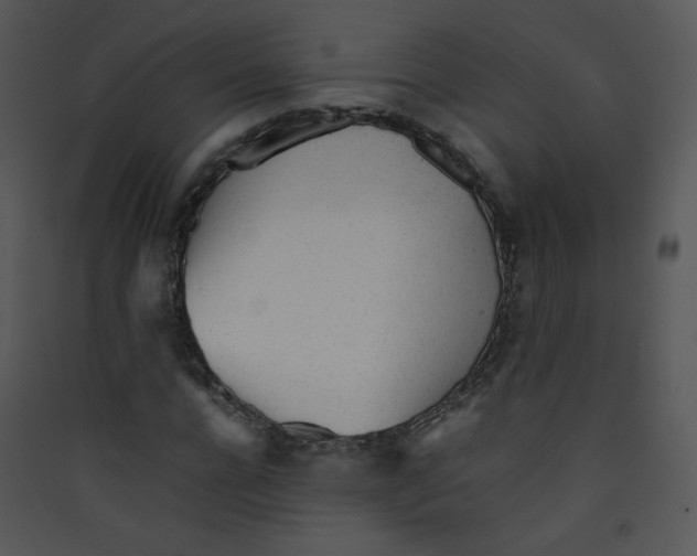 X0000089450920200707131923