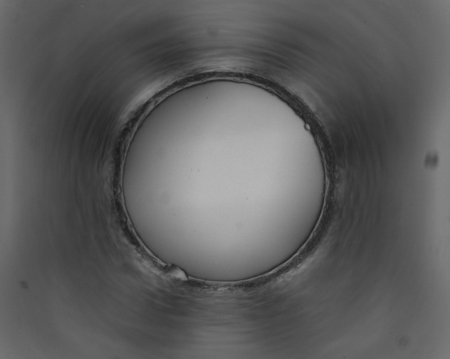 X0000089450922200707131923