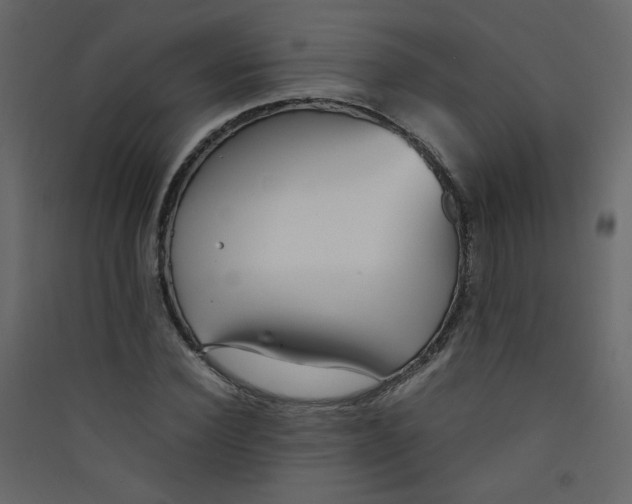 X0000089450924200707131923