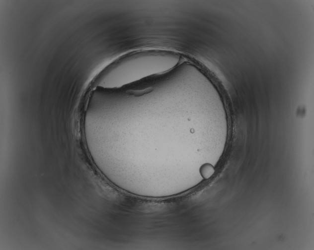 X0000089450925200707131923