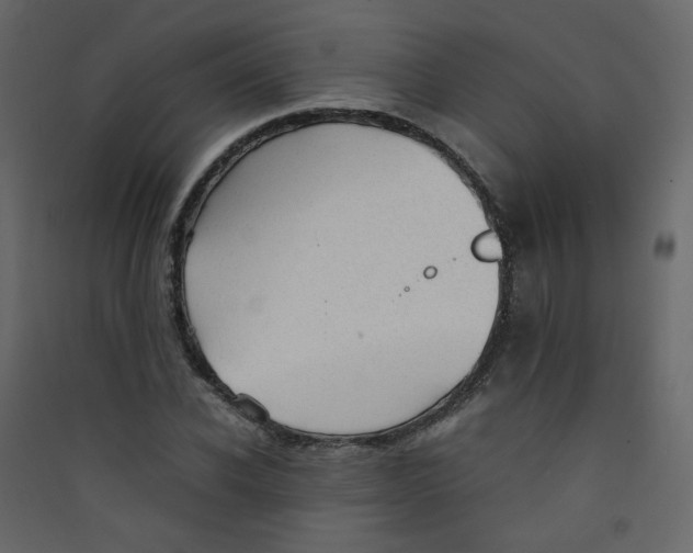 X0000089450926200707131923