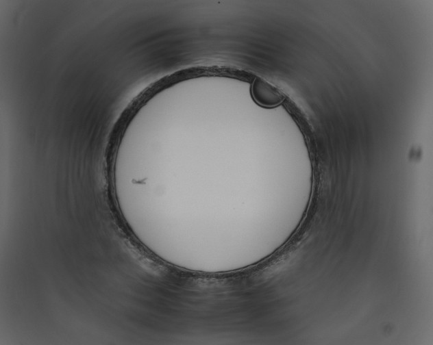 X0000089450927200707131923