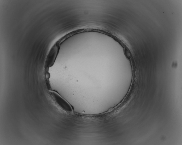 X0000089450928200707131923