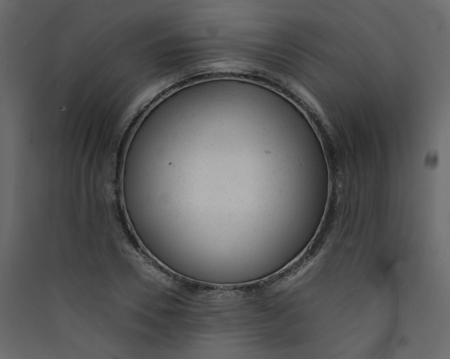 X0000089450930200707131924