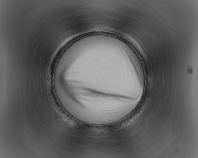 X0000089450931200707131924