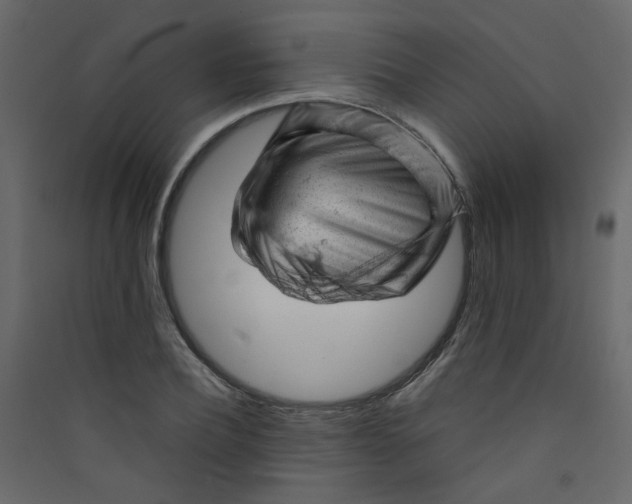 X0000089450932200707131924