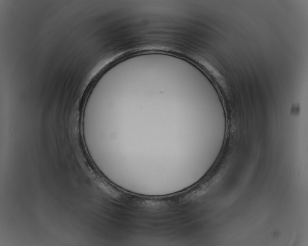 X0000089450933200707131924