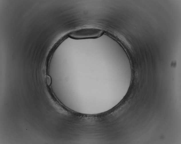 X0000089450934200707131924