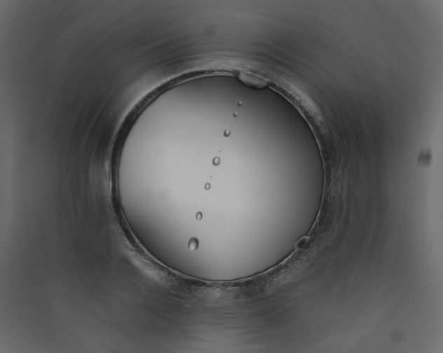 X0000089450936200707131924