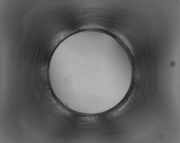 X0000089450937200707131924