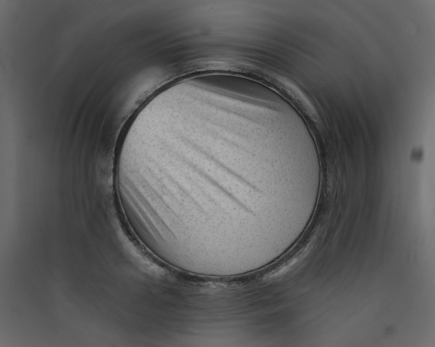 X0000089450938200707131924