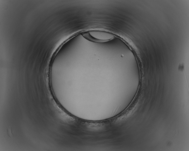 X0000089450941200707131924