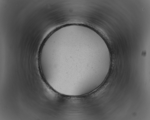 X0000089450942200707131924