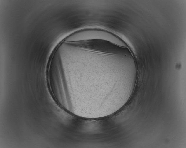 X0000089450943200707131924