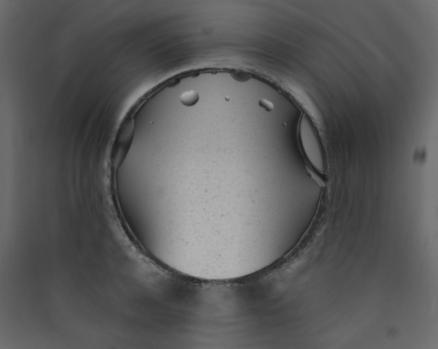 X0000089450944200707131924