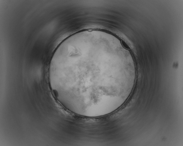 X0000089450945200707131924