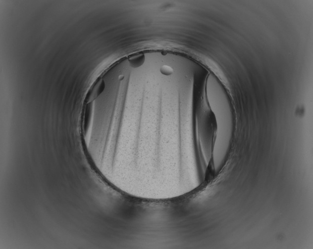 X0000089450946200707131924