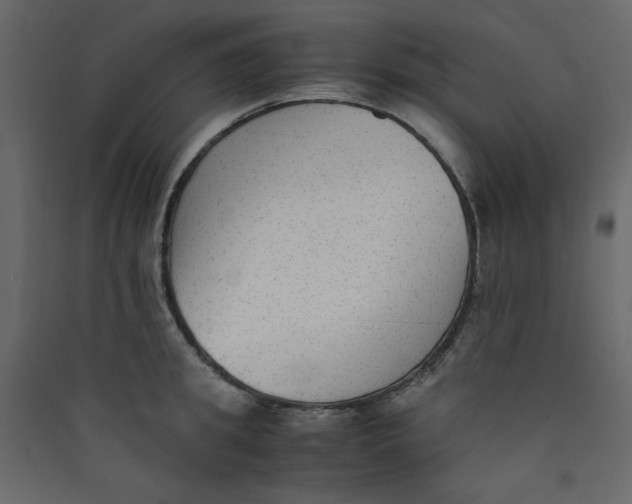 X0000089450949200707131924