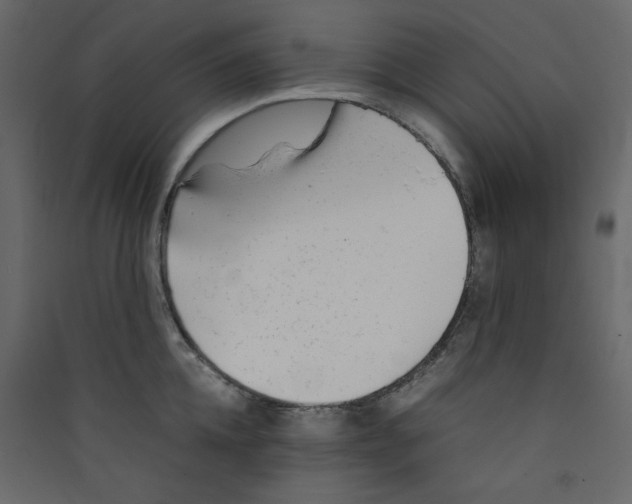 X0000089450952200707131924