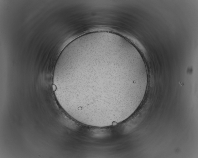 X0000089450953200707131924