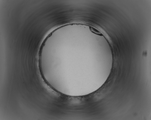 X0000089450955200707131924