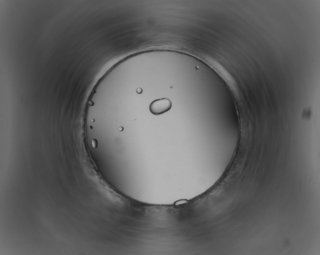 X0000089450956200707131924