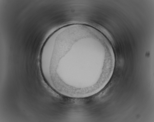 X0000089450958200707131924