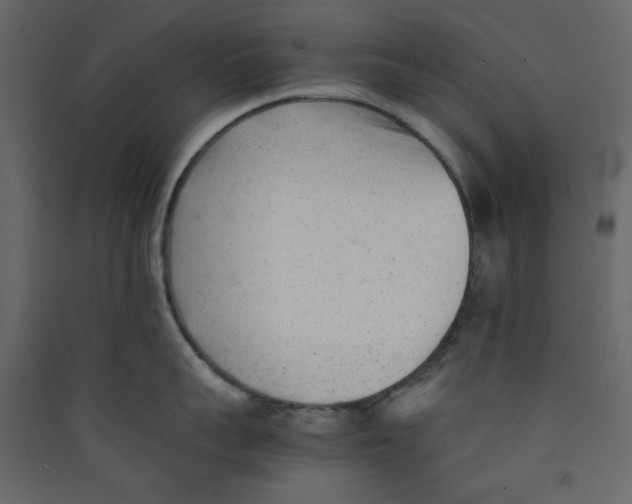 X0000089450959200707131924