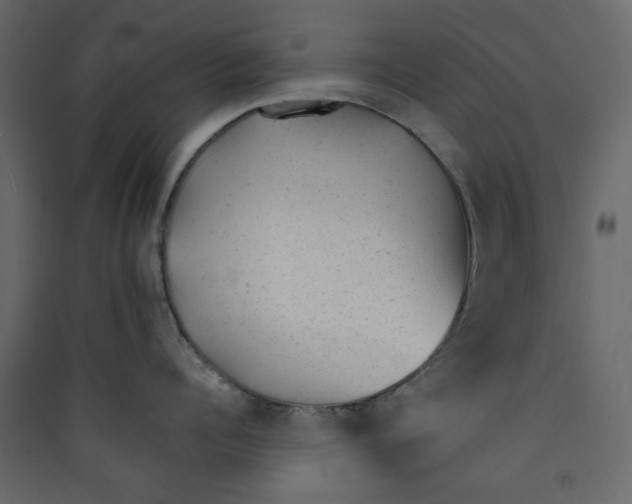 X0000089450960200707131924