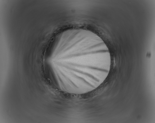 X0000089450961200707131923