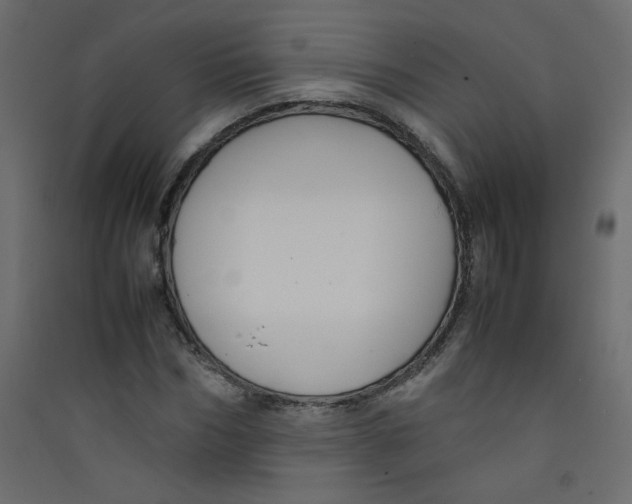 X0000089450970200707131923