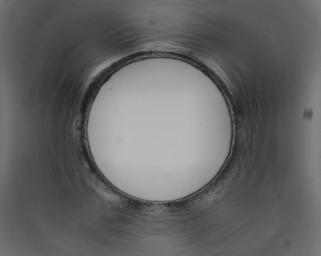 X0000089450971200707131923