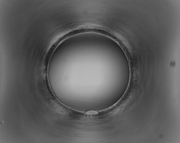 X0000089450973200707131923