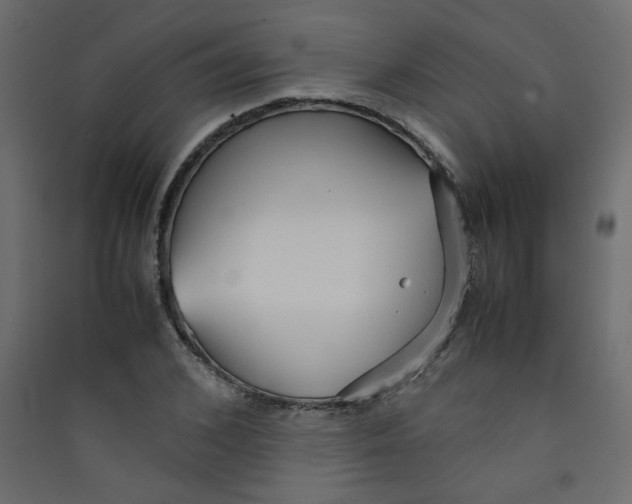 X0000089450976200707131923