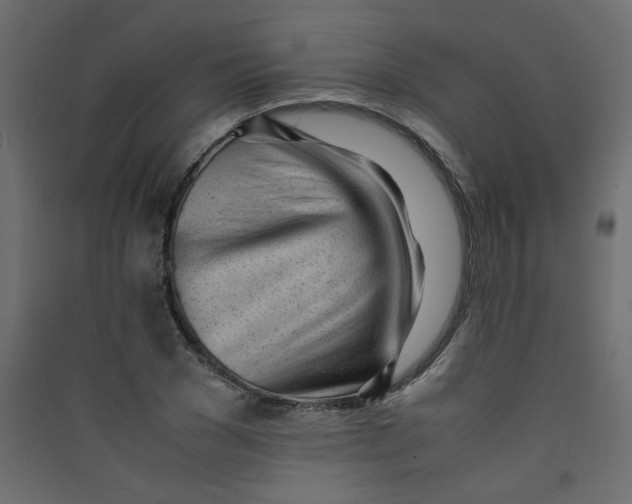 X0000089450977200707131923