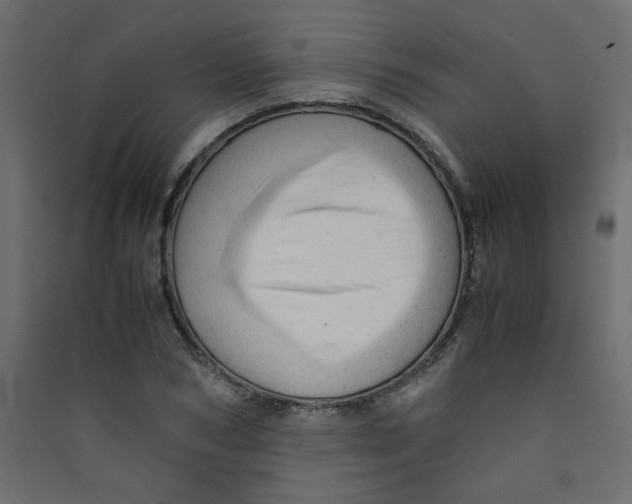 X0000089450978200707131923