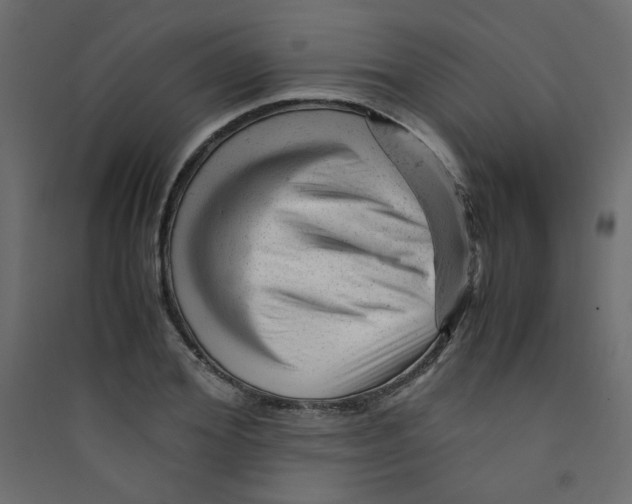 X0000089450980200707131923