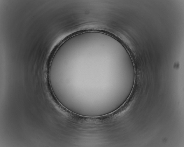 X0000089450981200707131923