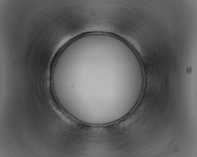 X0000089450982200707131923