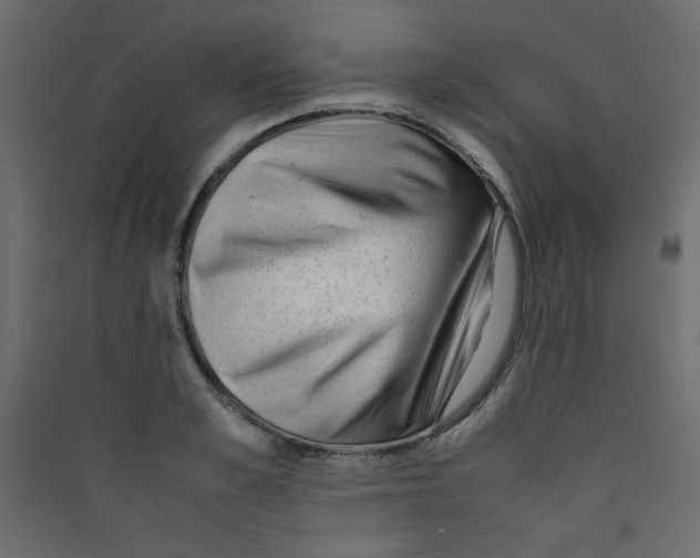 X0000089450989200707131923