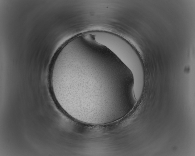 X0000089450991200707131923